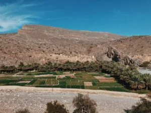 بررسی فرصتهای سرمایهگذاری در مناطق آزاد عمان