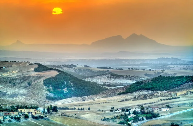 بررسی تفاوت ثبت شرکت در مناطق آزاد و غیرآزاد عمان